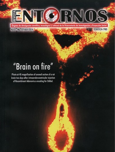 					Ver Núm. 27 (2014): "Brain on fire"
				