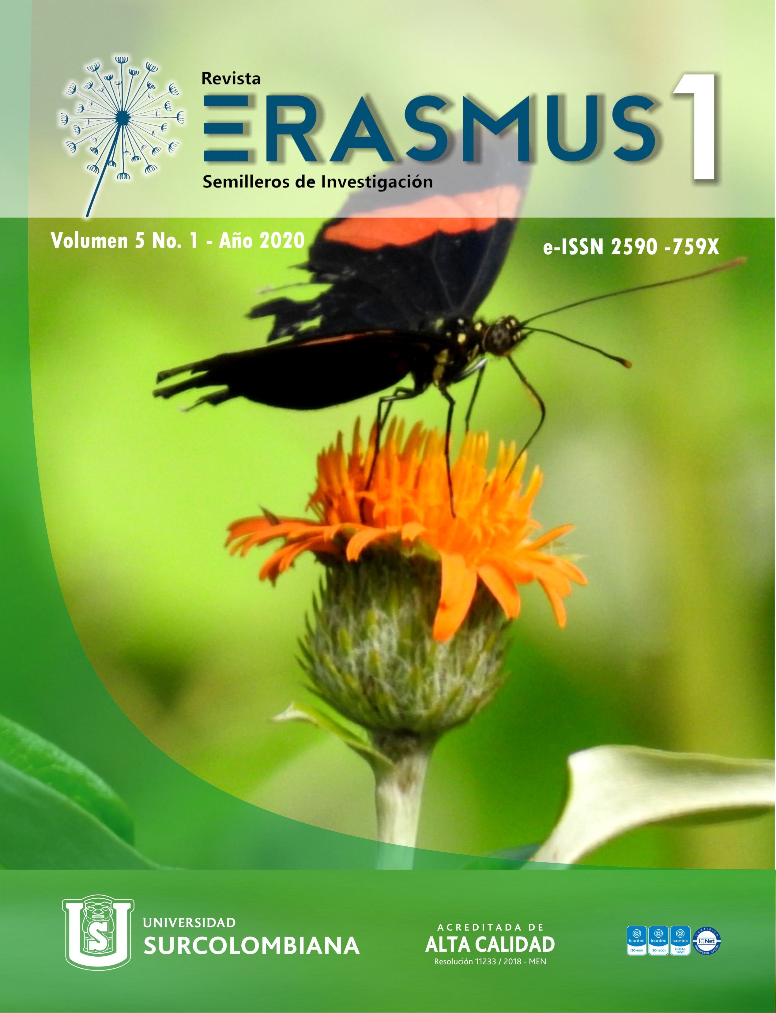 					Ver Vol. 5 Núm. 1 (2020): Erasmus - Semilleros de Investigación
				