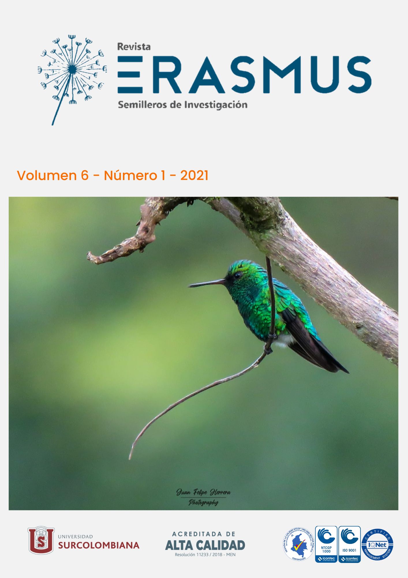 En esta edición de la Revista Erasmus tenemos el gusto de compartir el trabajo fotográfico de Juan Felipe Herrera que exalta la especie Chlorostilbon gibsoni  que habita el sur de Colombia (El Pital-Huila); este registro se realizó en el año 2021.